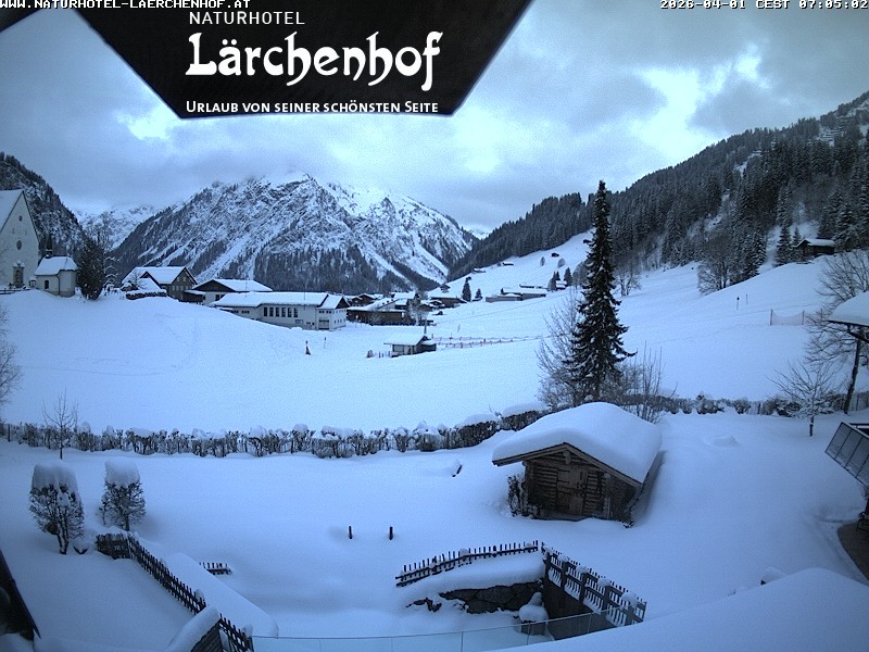 Archived image Webcam Laerchenhof Nature Hotel