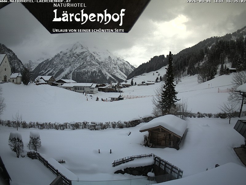 Archived image Webcam Laerchenhof Nature Hotel