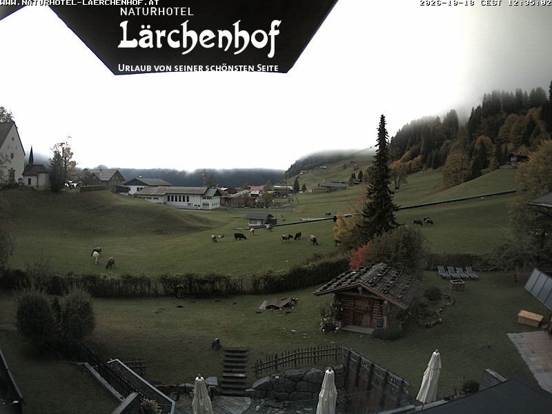Archived image Webcam Laerchenhof Nature Hotel