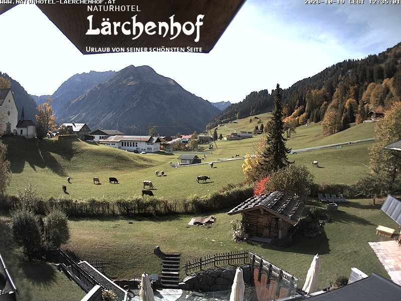 Archived image Webcam Laerchenhof Nature Hotel