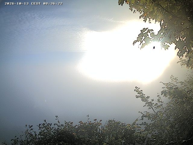 Archiv Foto Webcam Festung Königstein - Friedrichsburg