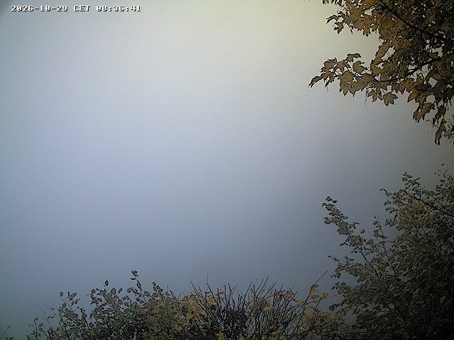 Archiv Foto Webcam Festung Königstein - Friedrichsburg