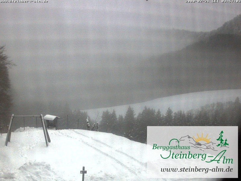 Archiv Foto Webcam Ruhpolding: Steinberg-Alm