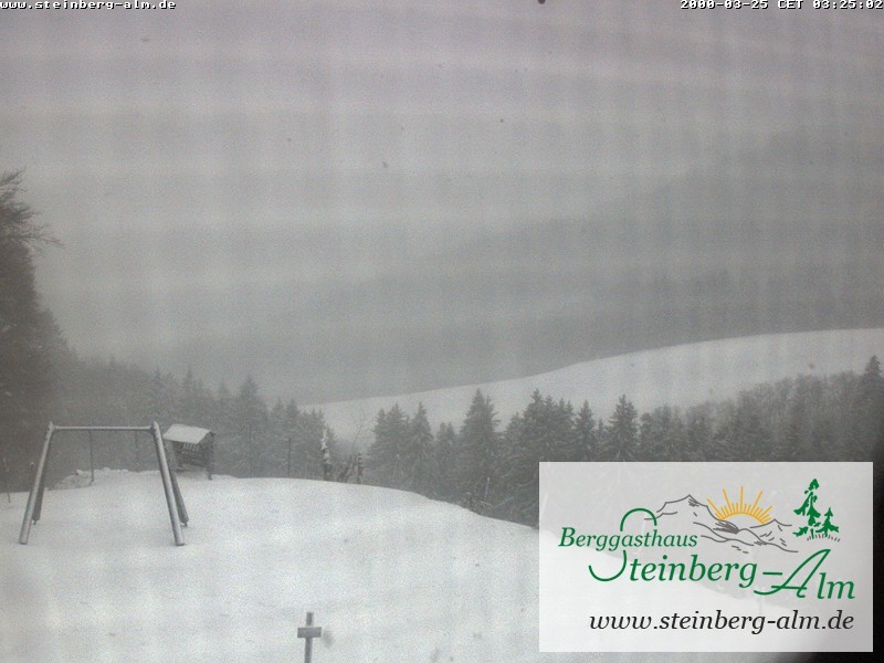 Archived image Webcam Mountain restaurant "Steinberg Alm"