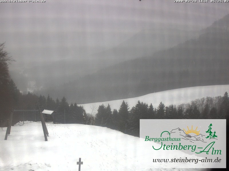 Archiv Foto Webcam Ruhpolding: Steinberg-Alm