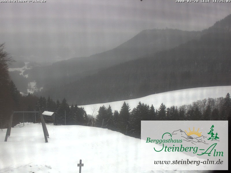 Archiv Foto Webcam Ruhpolding: Steinberg-Alm