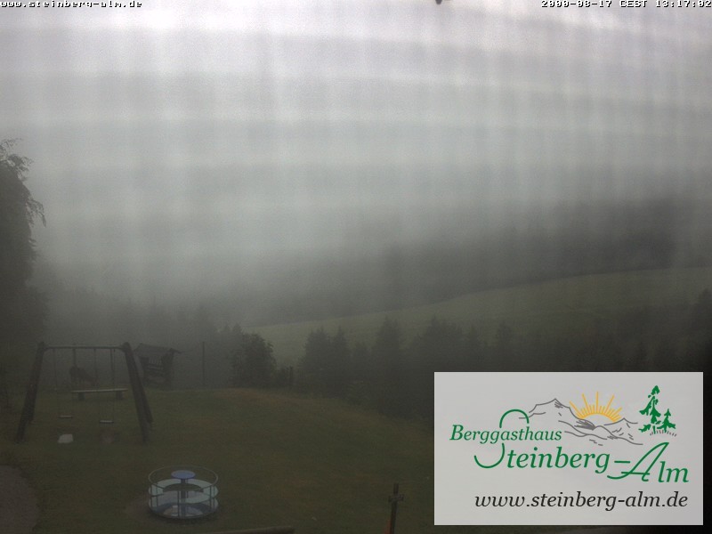 Archiv Foto Webcam Ruhpolding: Steinberg-Alm