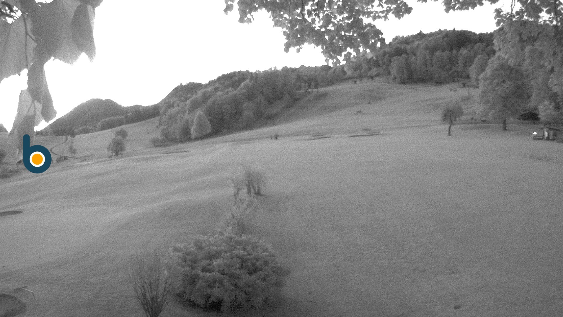 Archived image Webcam Golf course Obersalzberg