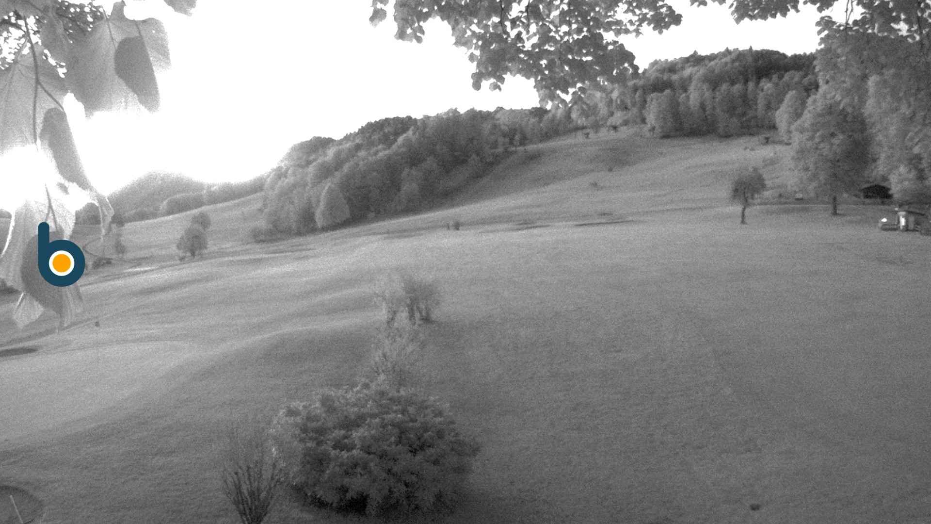 Archived image Webcam Golf course Obersalzberg