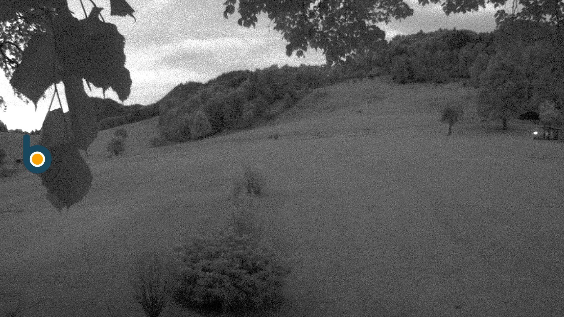 Archived image Webcam Golf course Obersalzberg