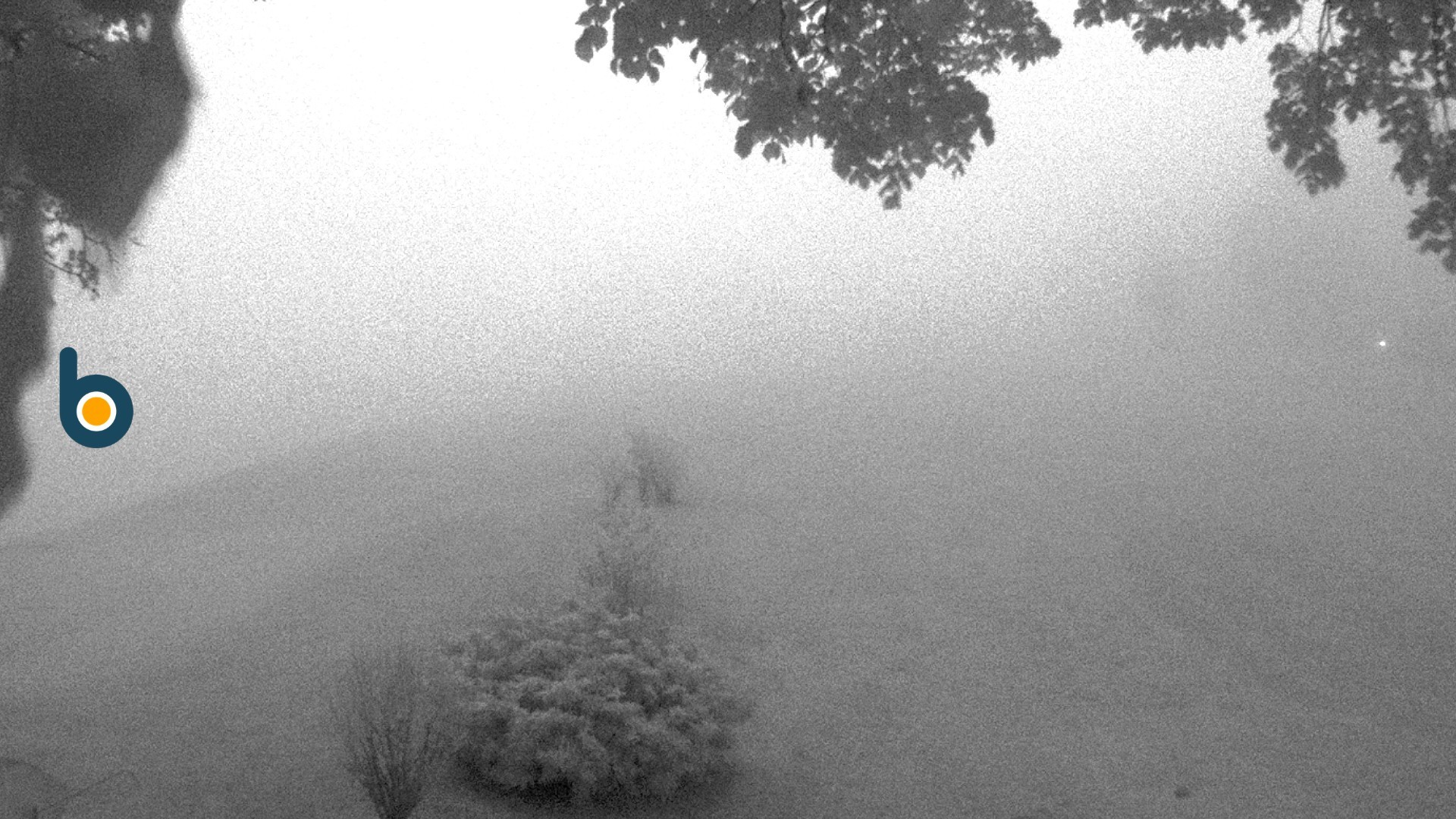 Archived image Webcam Golf course Obersalzberg