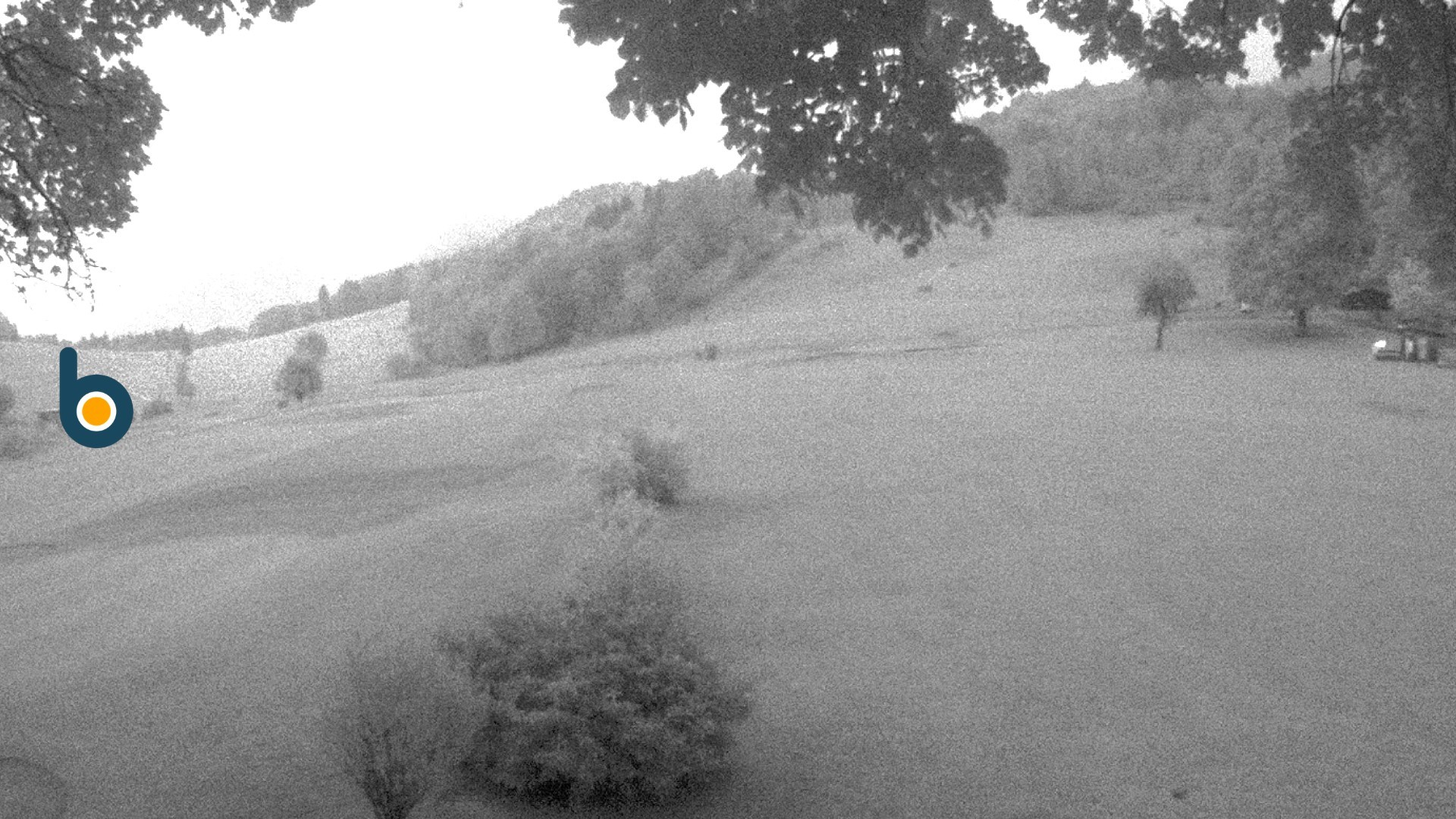 Archived image Webcam Golf course Obersalzberg