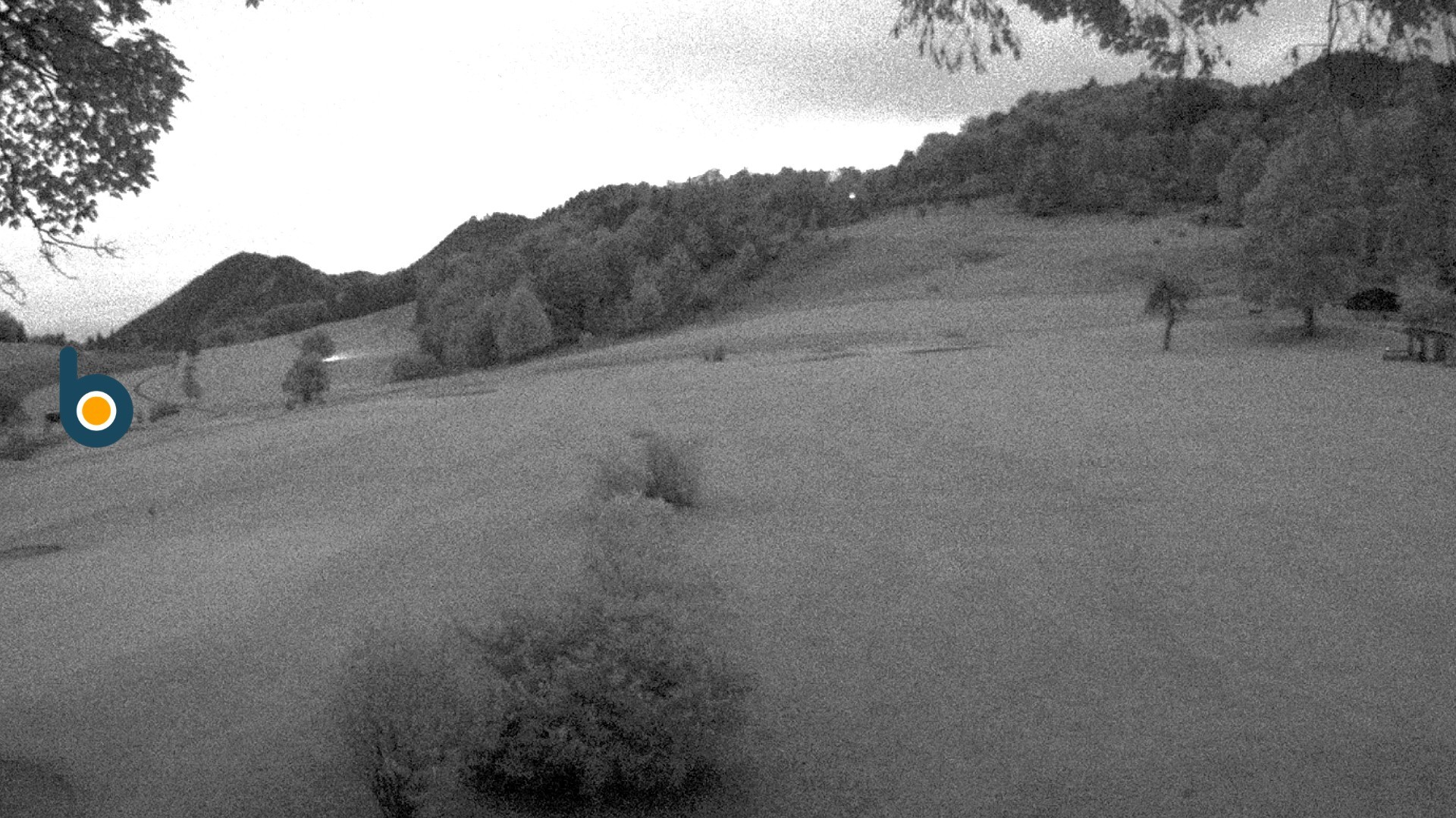 Archived image Webcam Golf course Obersalzberg