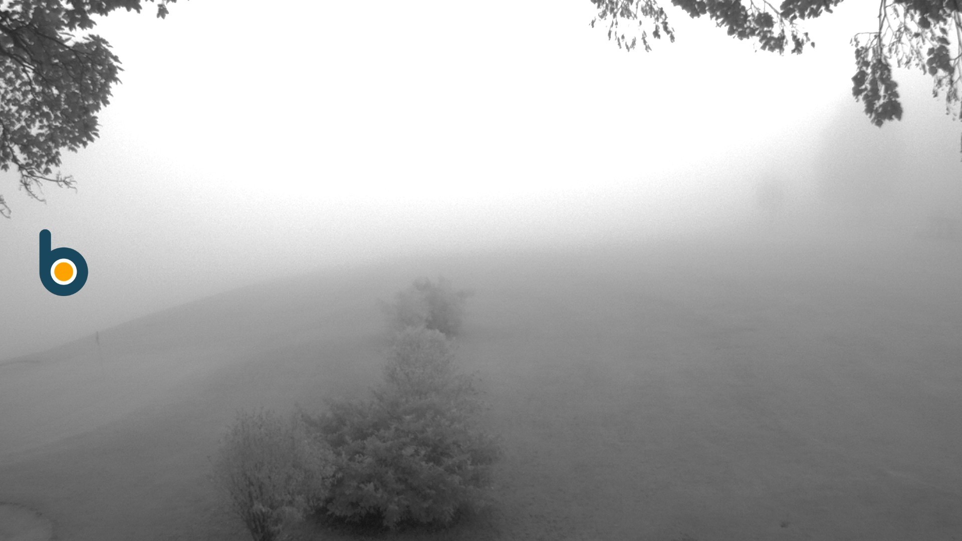 Archiv Foto Webcam Obersalzberg: Golfplatz