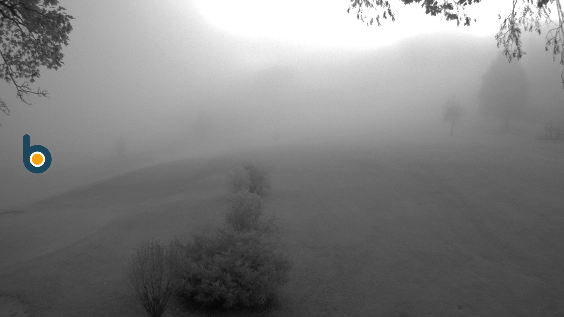 Archiv Foto Webcam Obersalzberg: Golfplatz