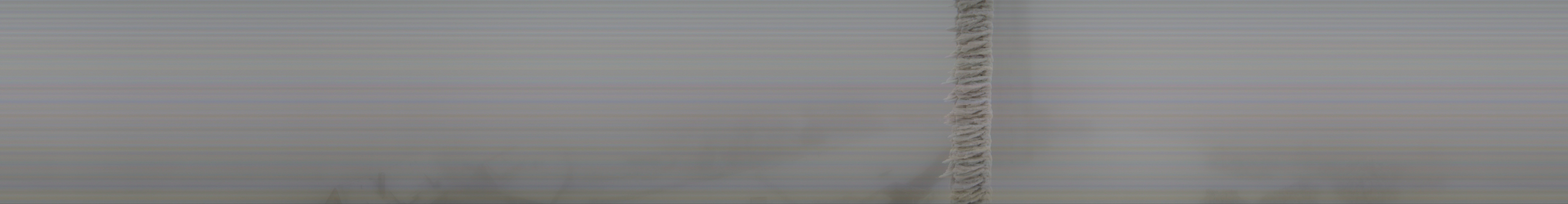 Archiv Foto Webcam Panorama Großer Inselsberg - Rennsteig