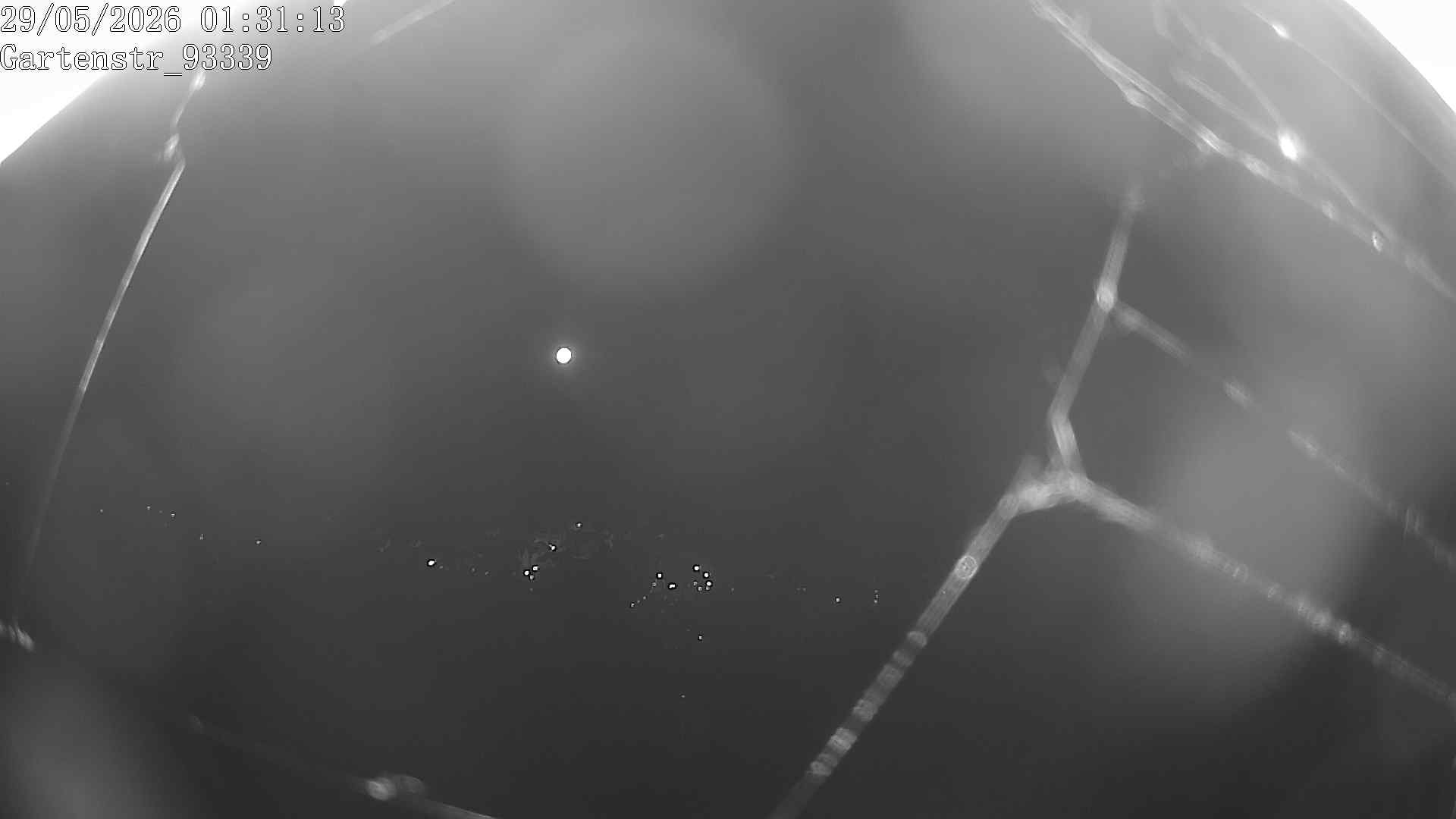Archiv Foto Webcam Blick auf Riedenburg