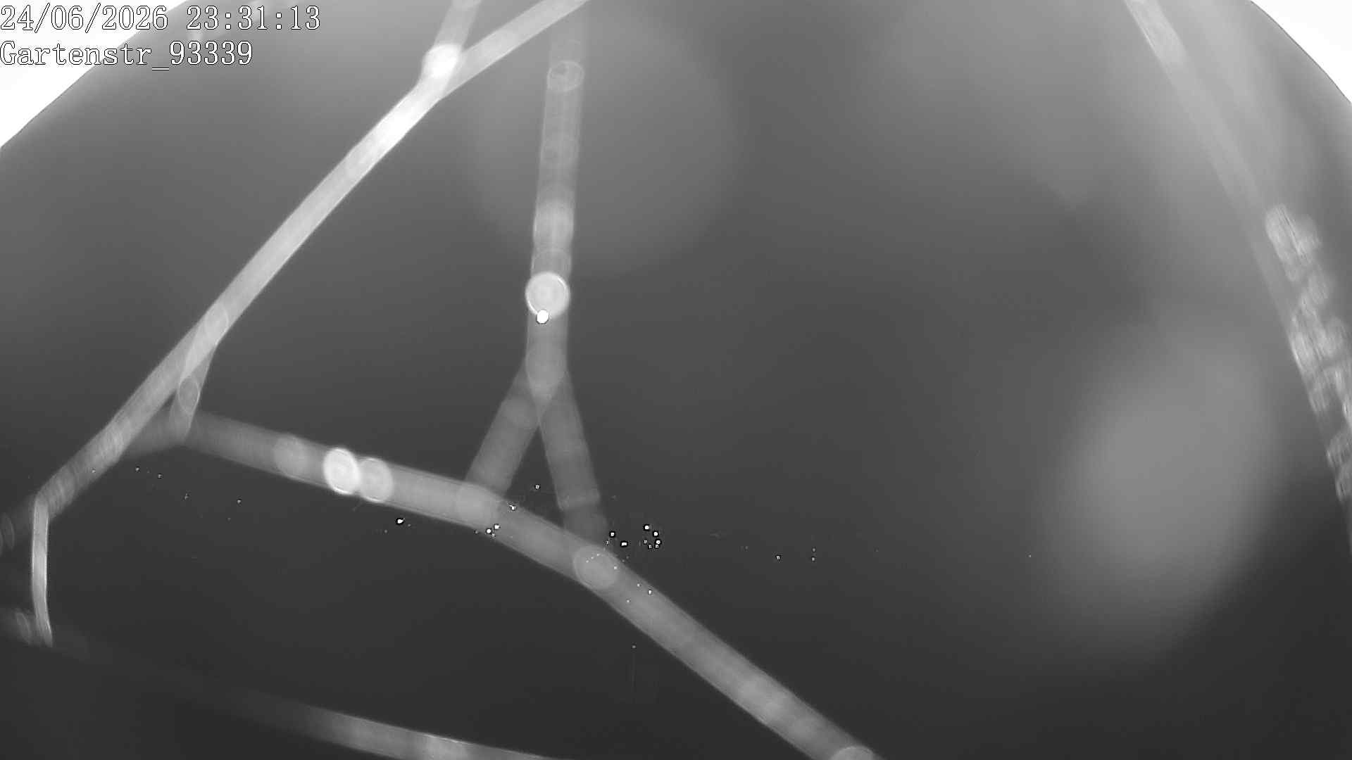 Archiv Foto Webcam Blick auf Riedenburg
