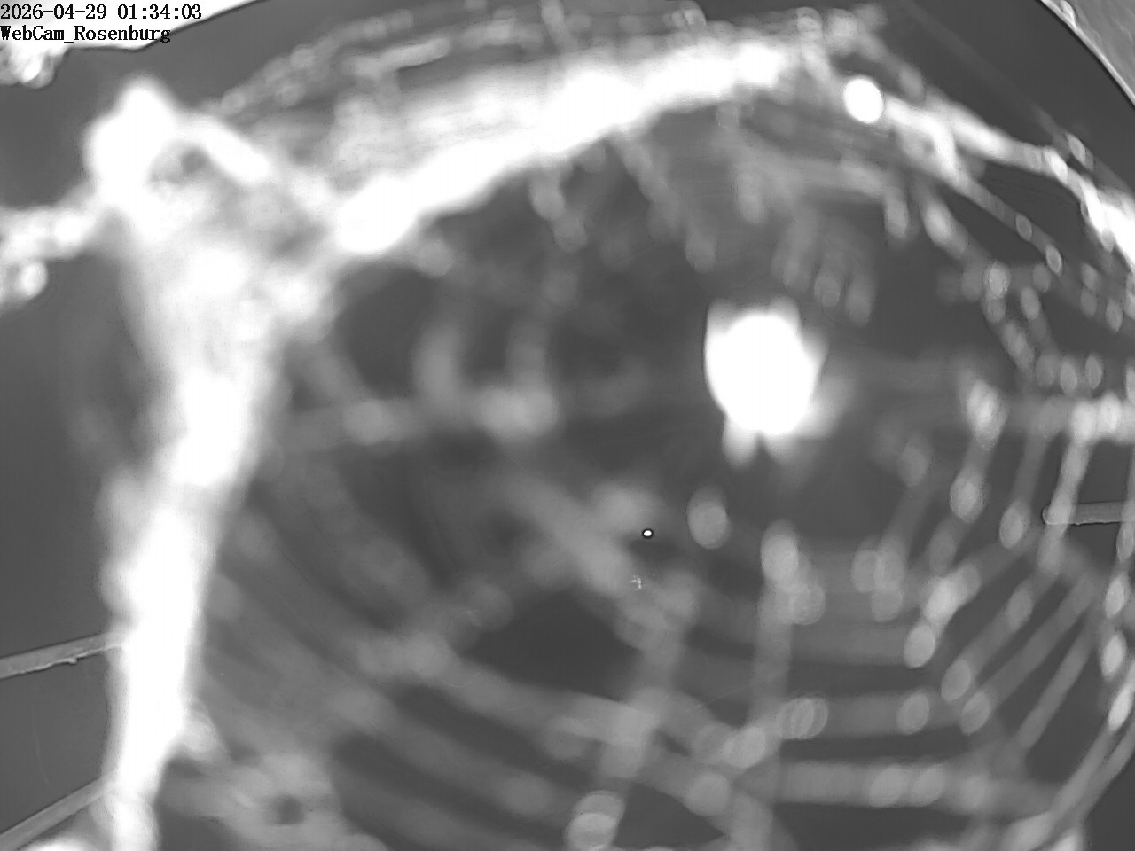 Archiv Foto Webcam Schloss Rosenburg