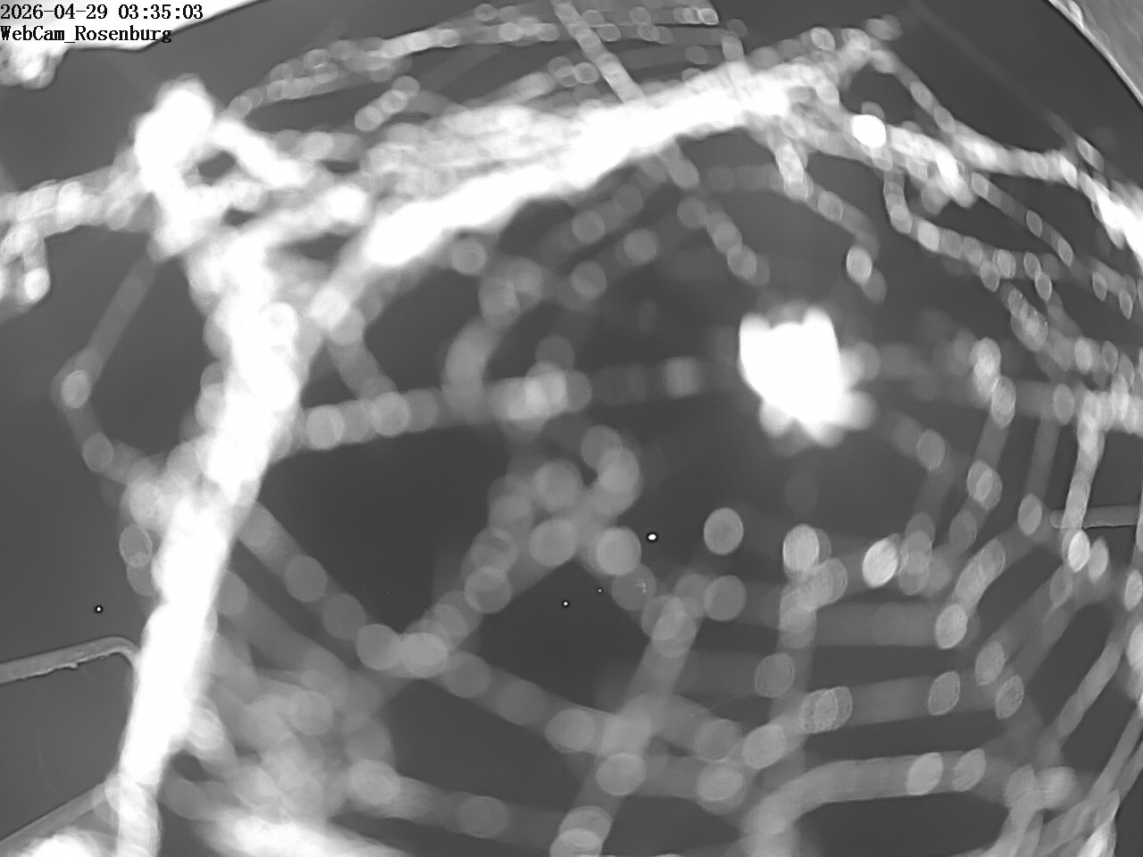 Archiv Foto Webcam Schloss Rosenburg