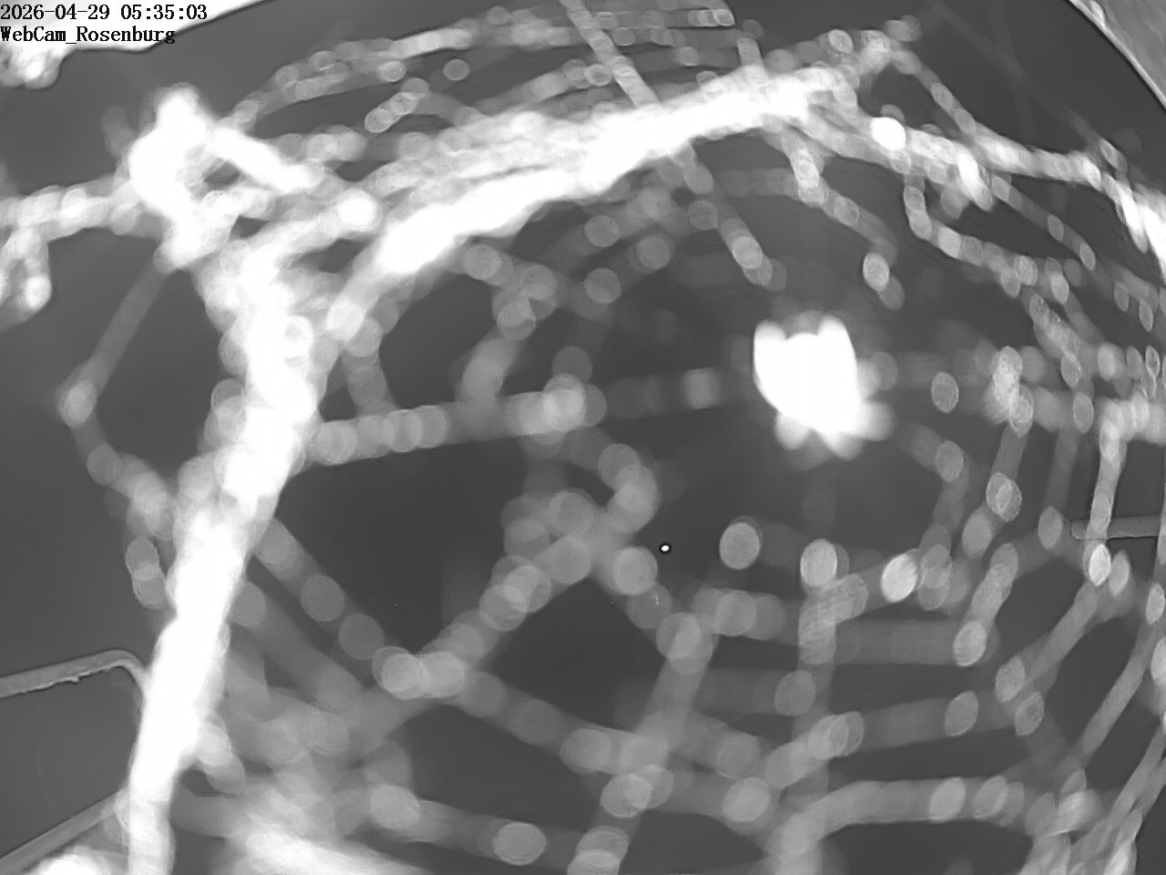 Archiv Foto Webcam Schloss Rosenburg