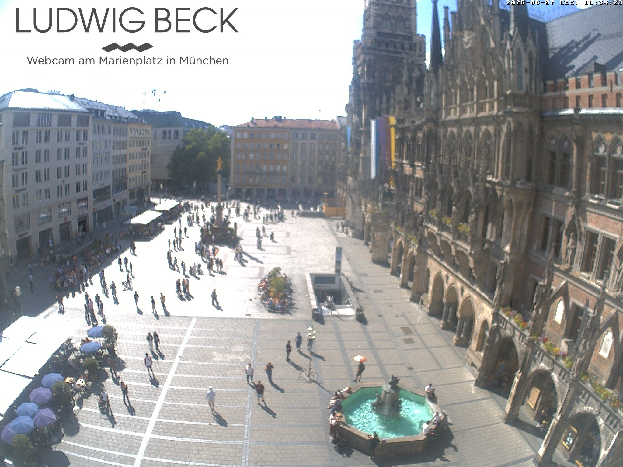 Archiv Foto Webcam am Marienplatz München
