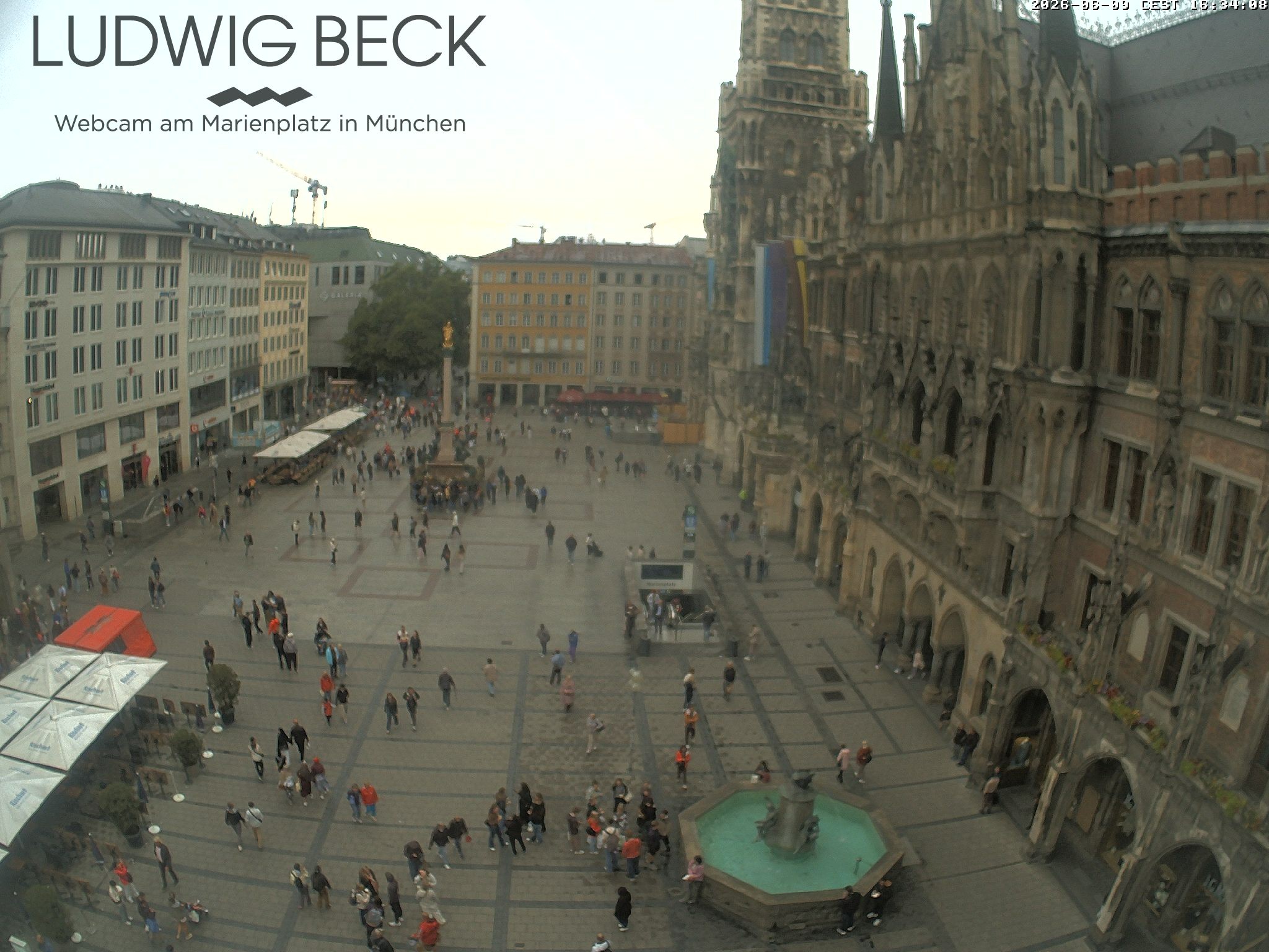 Archiv Foto Webcam am Marienplatz München
