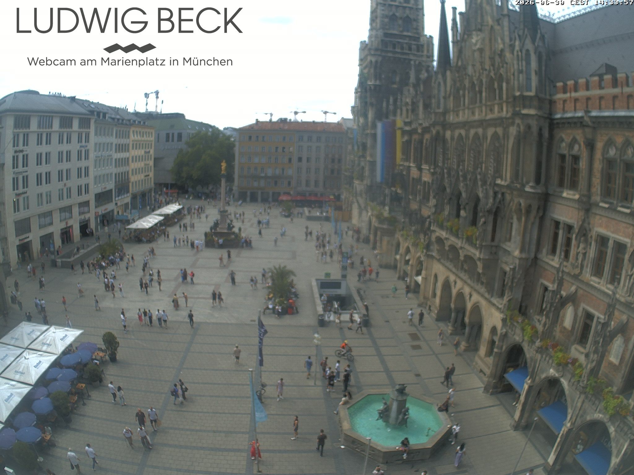 Archiv Foto Webcam am Marienplatz München
