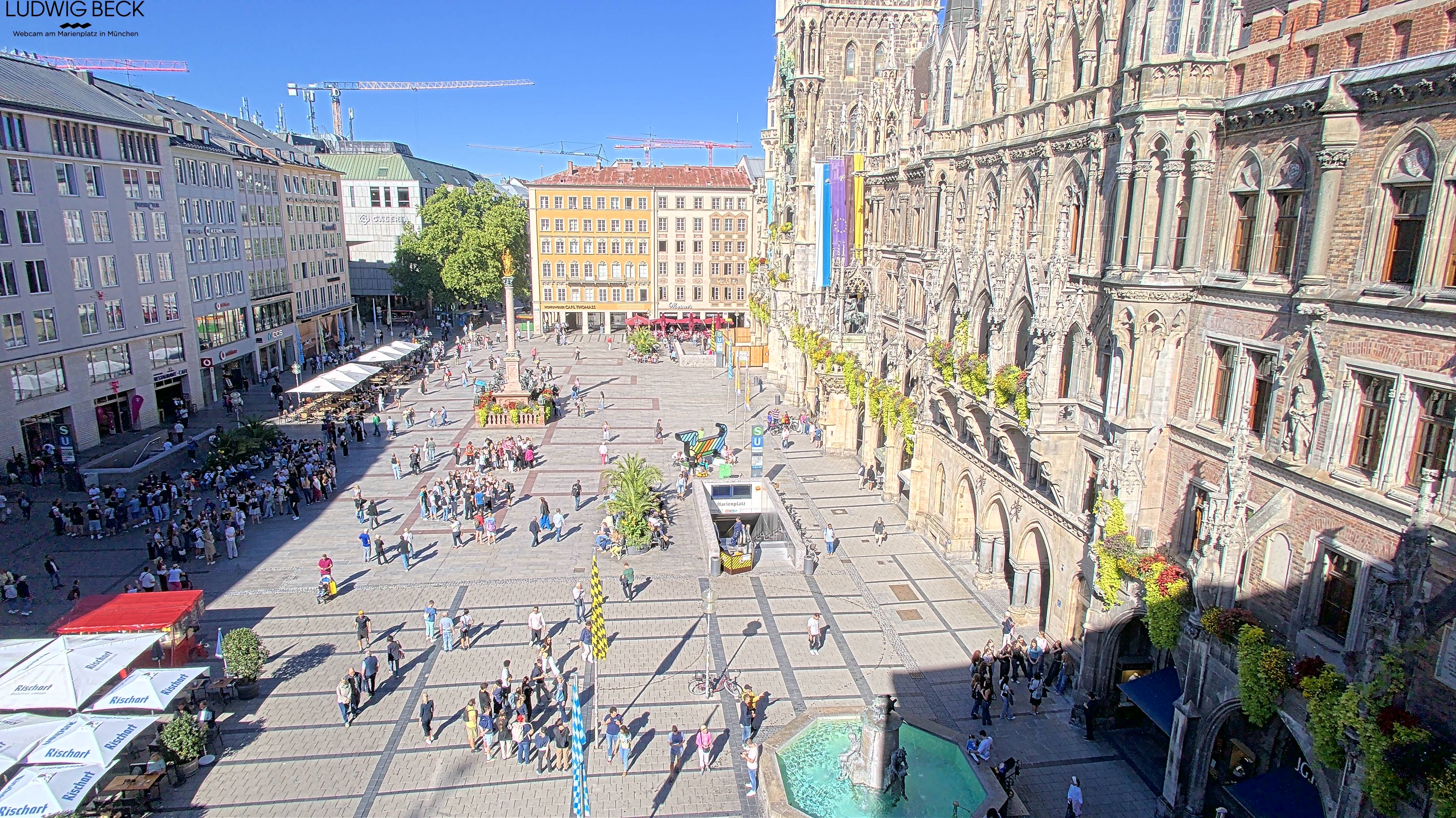 Archiv Foto Webcam am Marienplatz München