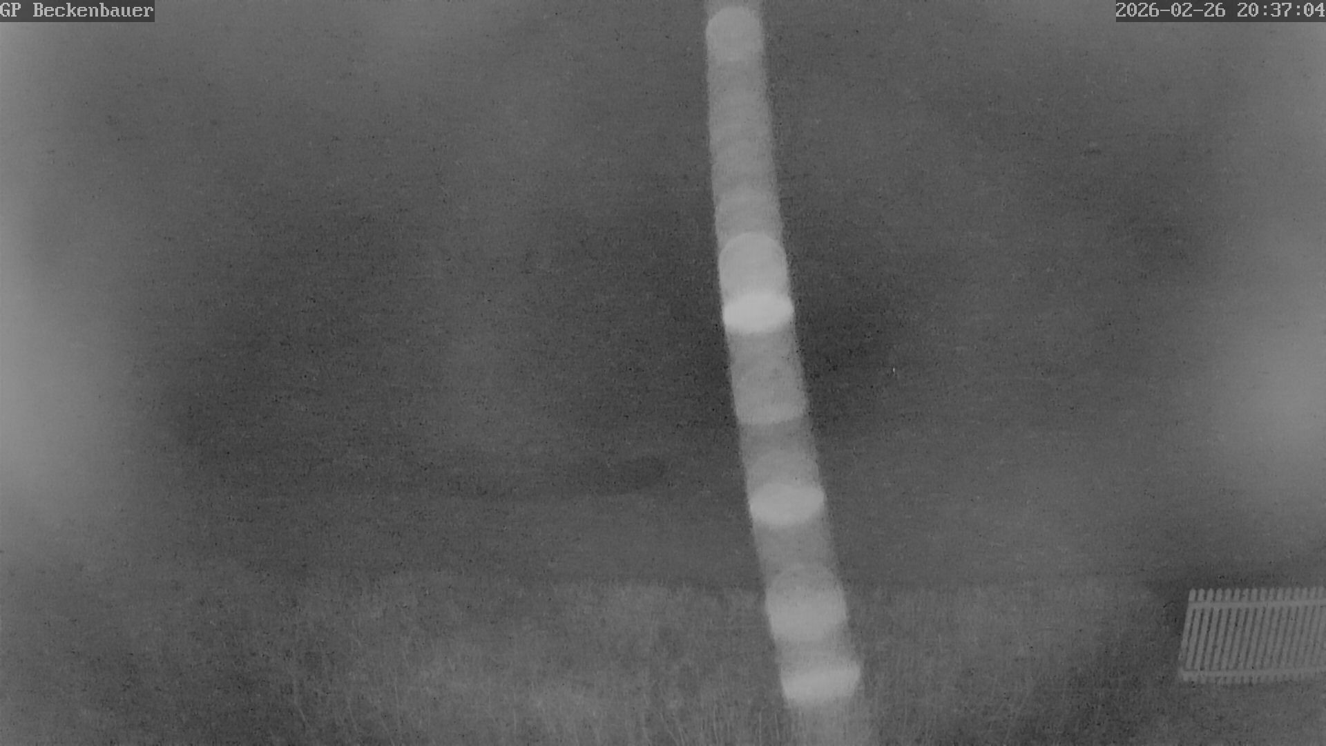 Archived image Webcam Beckenbauer Golf Course