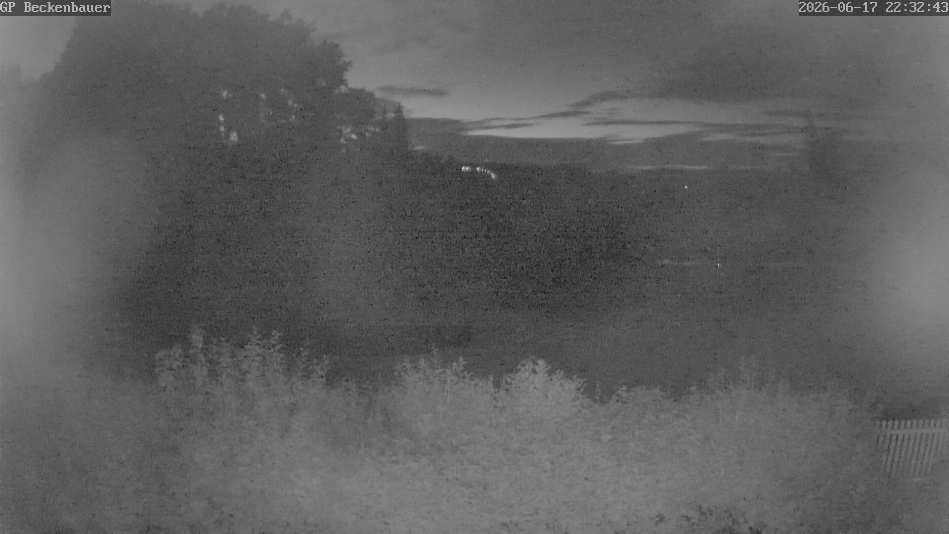 Archived image Webcam Beckenbauer Golf Course