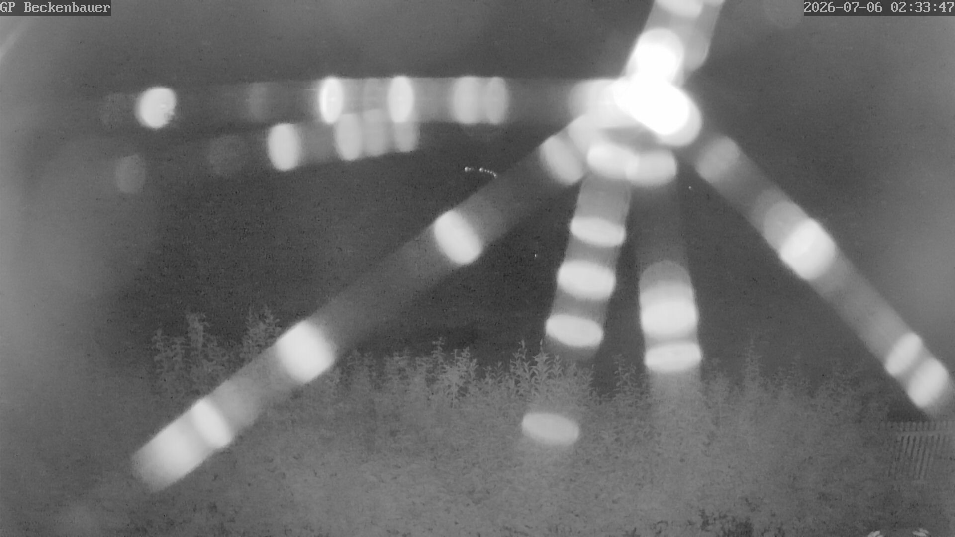 Archived image Webcam Beckenbauer Golf Course