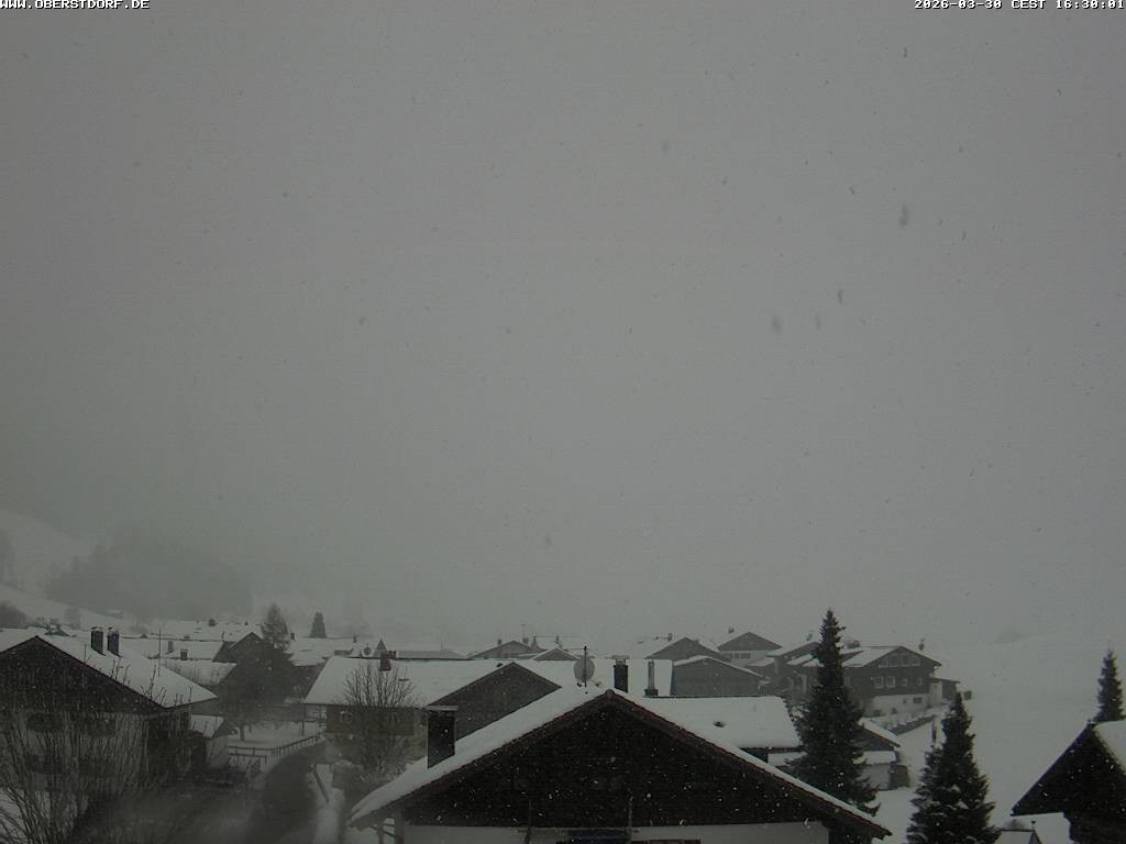 Archiv Foto Webcam Schöllang