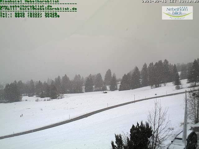 Archiv Foto Webcam Nebelhornblick