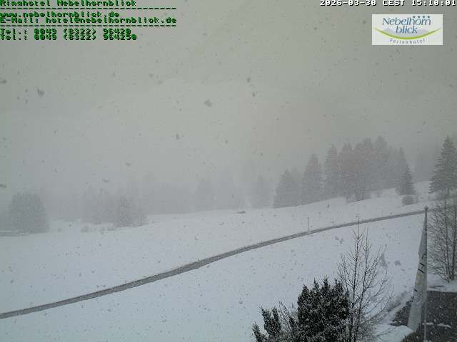 Archiv Foto Webcam Nebelhornblick