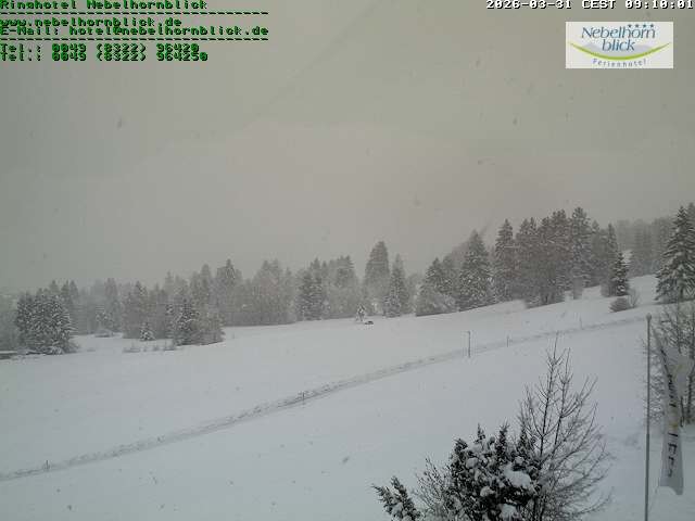 Archived image Webcam Hotel Nebelhornblick