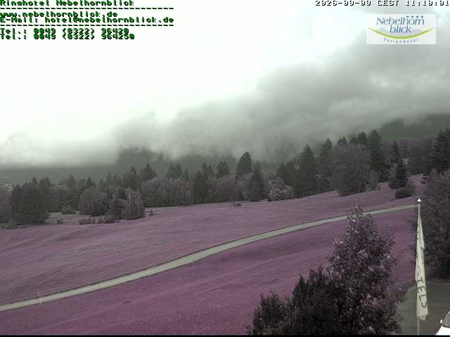 Archiv Foto Webcam Nebelhornblick