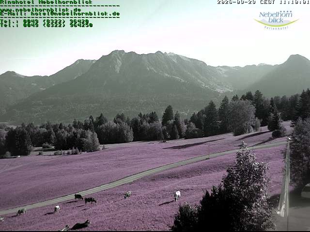 Archived image Webcam Hotel Nebelhornblick
