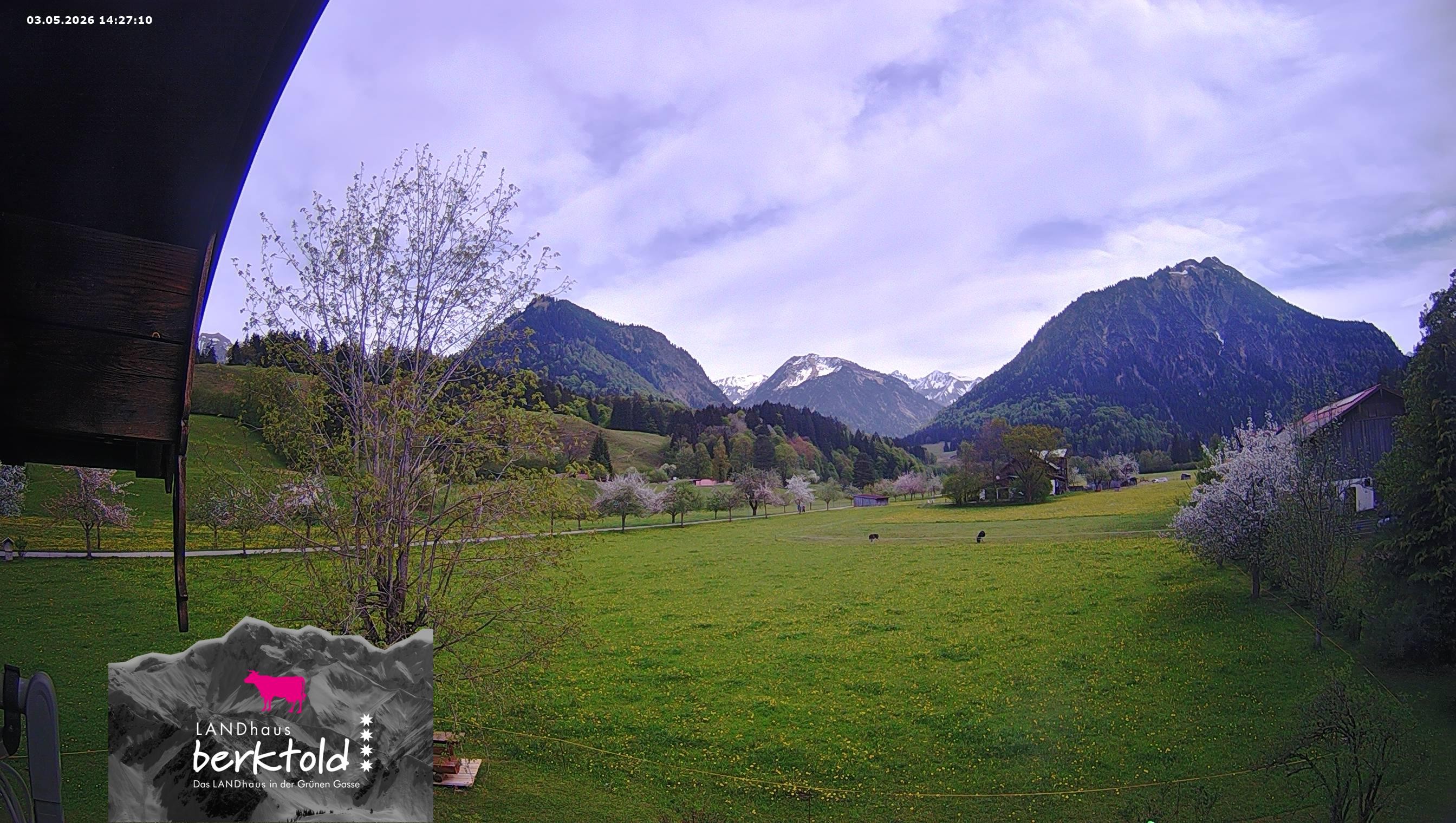 Archiv Foto Webcam Landhaus Berktold