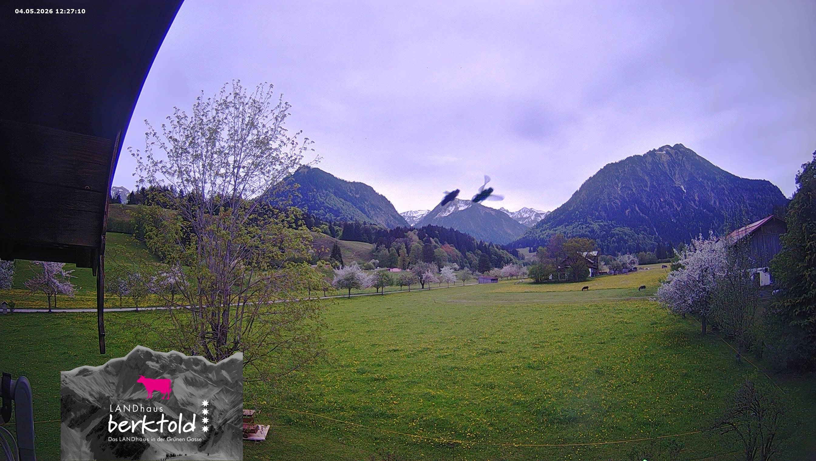 Archiv Foto Webcam Landhaus Berktold