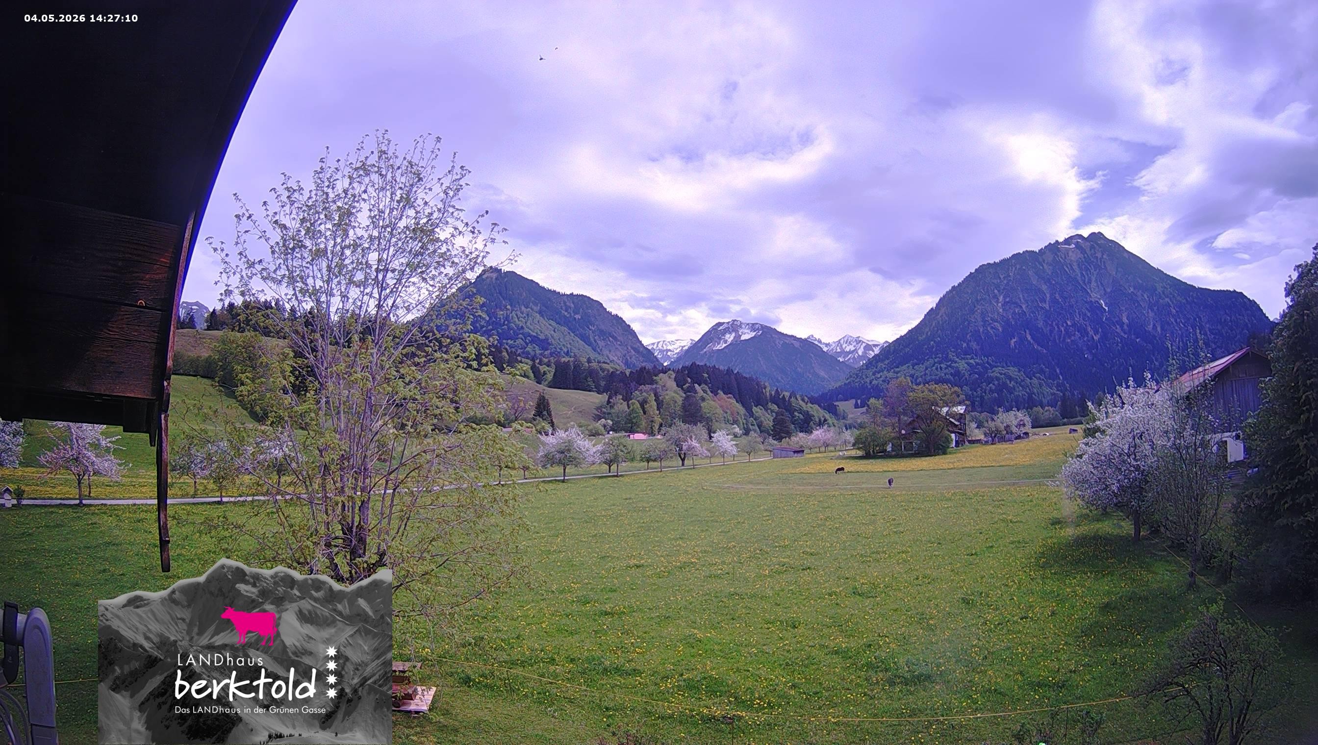 Archiv Foto Webcam Landhaus Berktold
