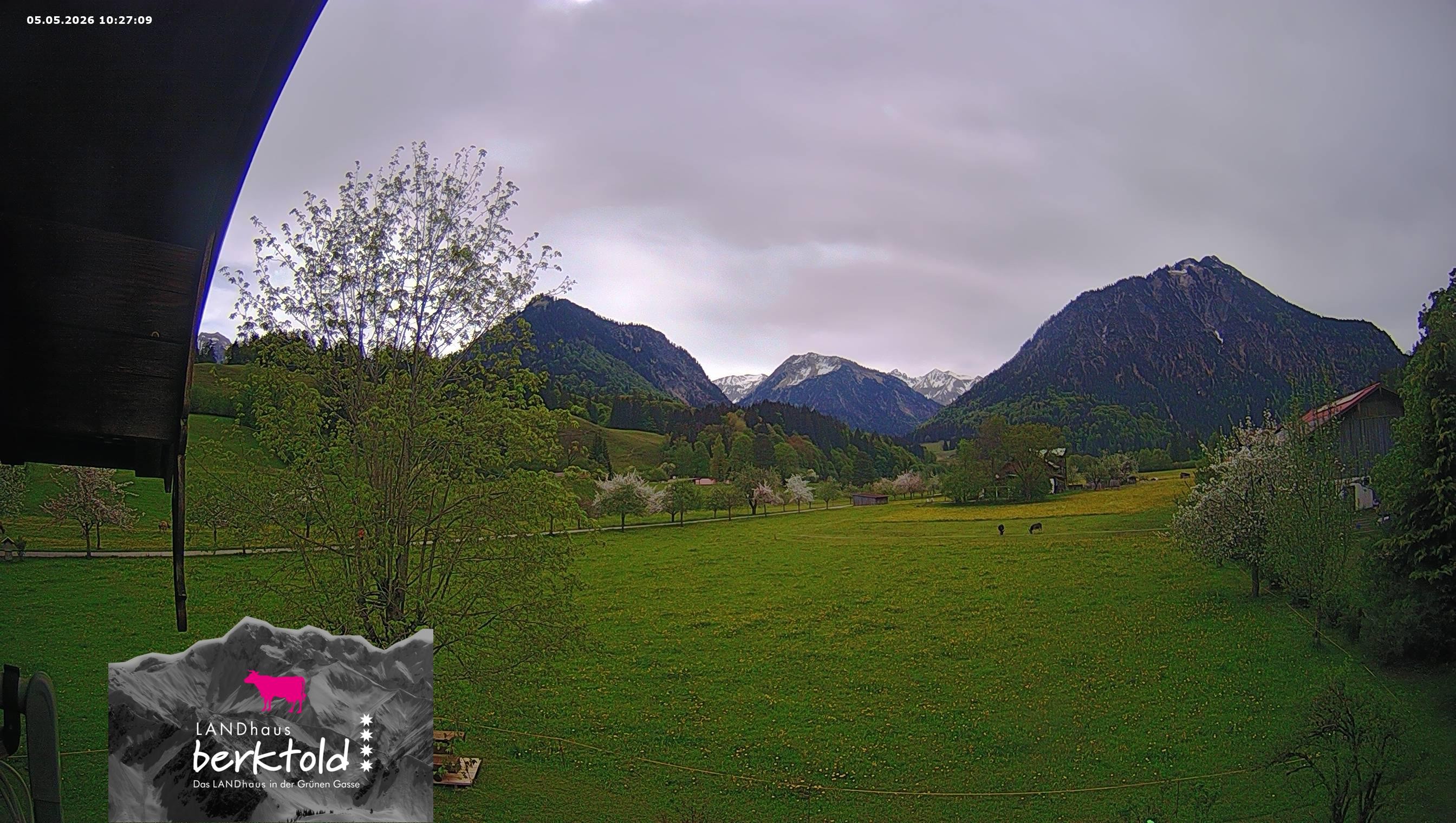 Archiv Foto Webcam Landhaus Berktold
