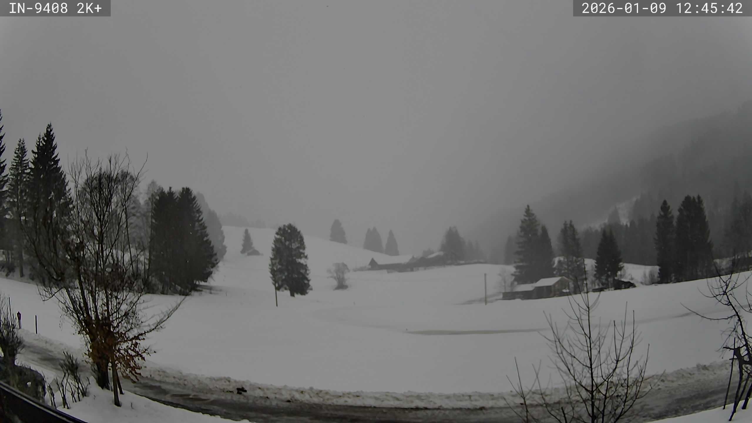 Archived image Webcam Guesthouse Heubethof (Blaichach)