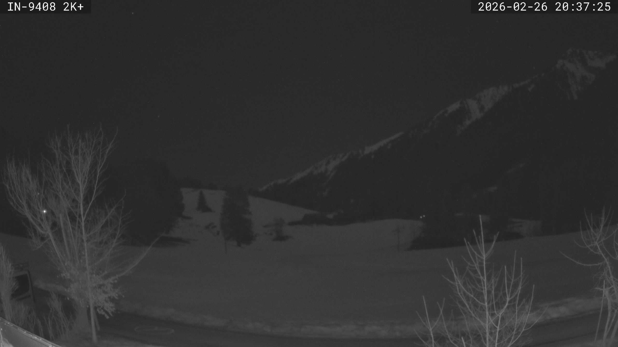 Archived image Webcam Guesthouse Heubethof (Blaichach)