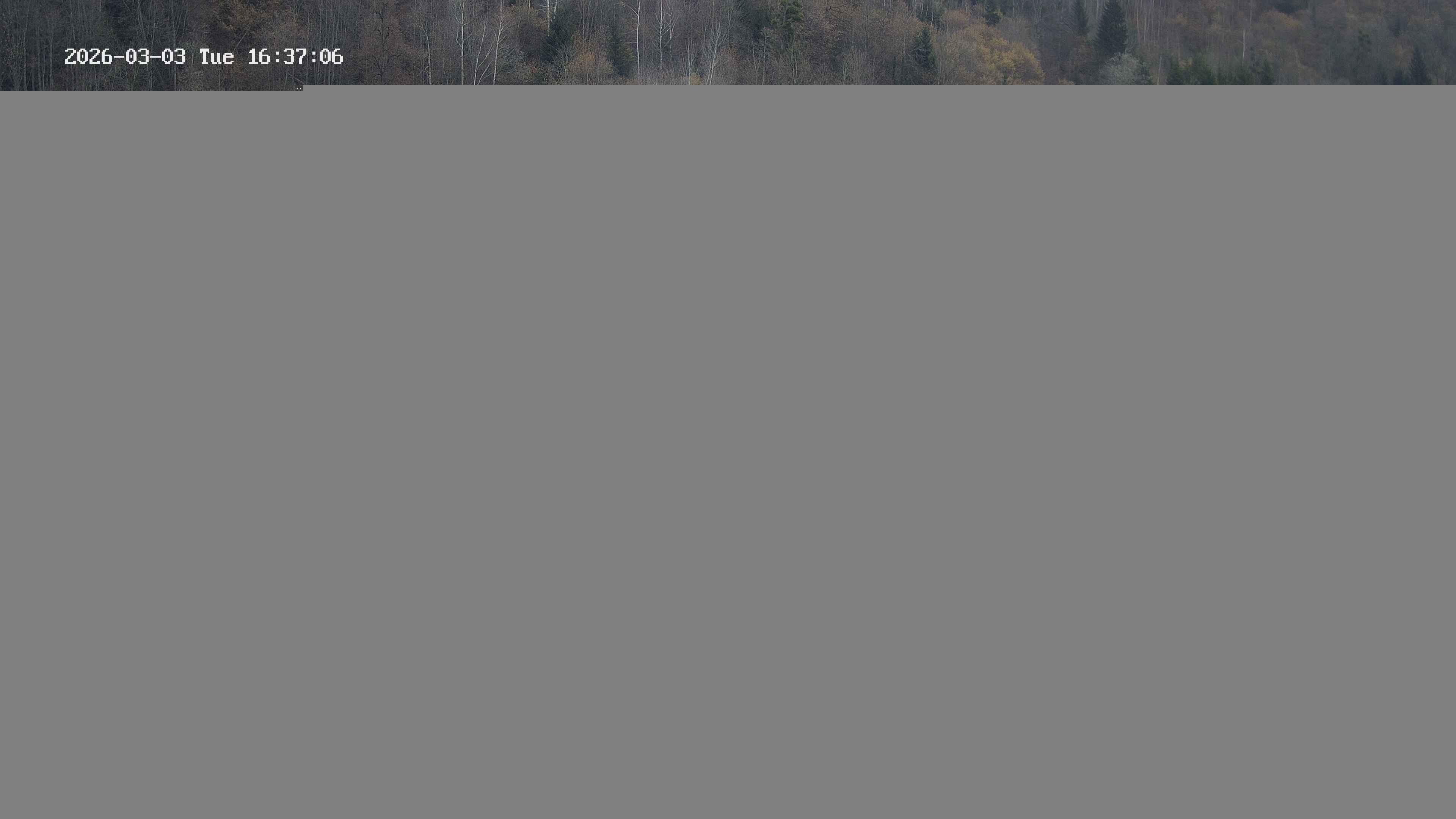 Archiv Foto Webcam Camping Aufenfeld - Appartements