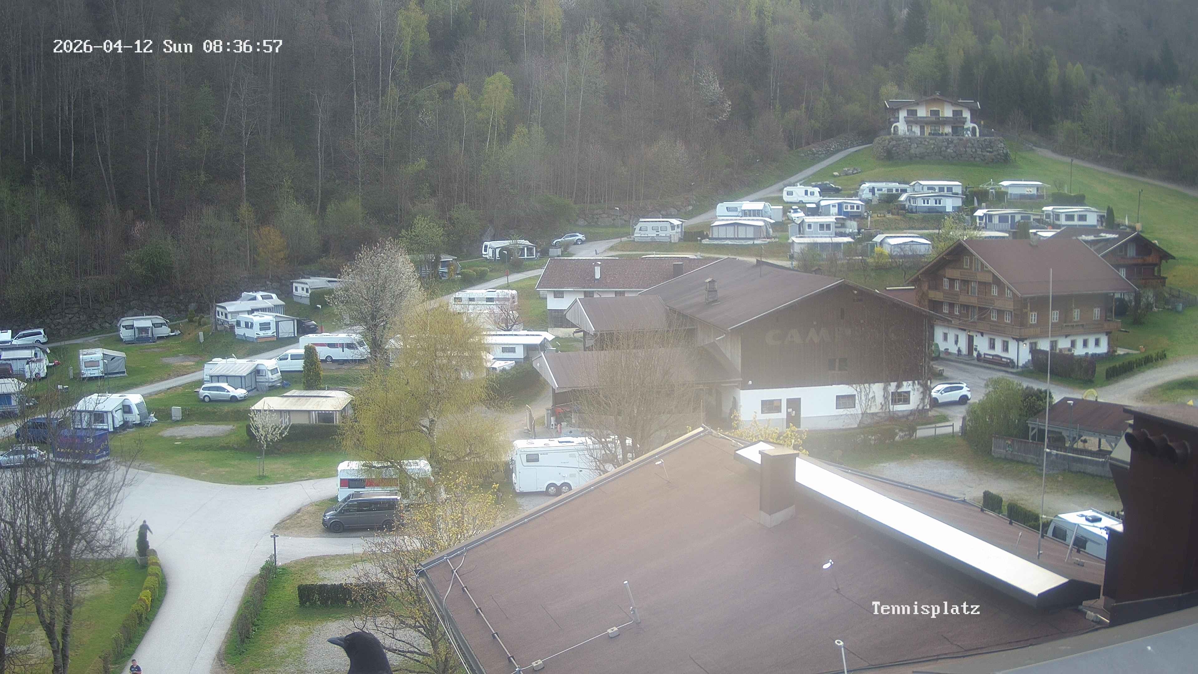 Archiv Foto Webcam Camping Aufenfeld - Appartements