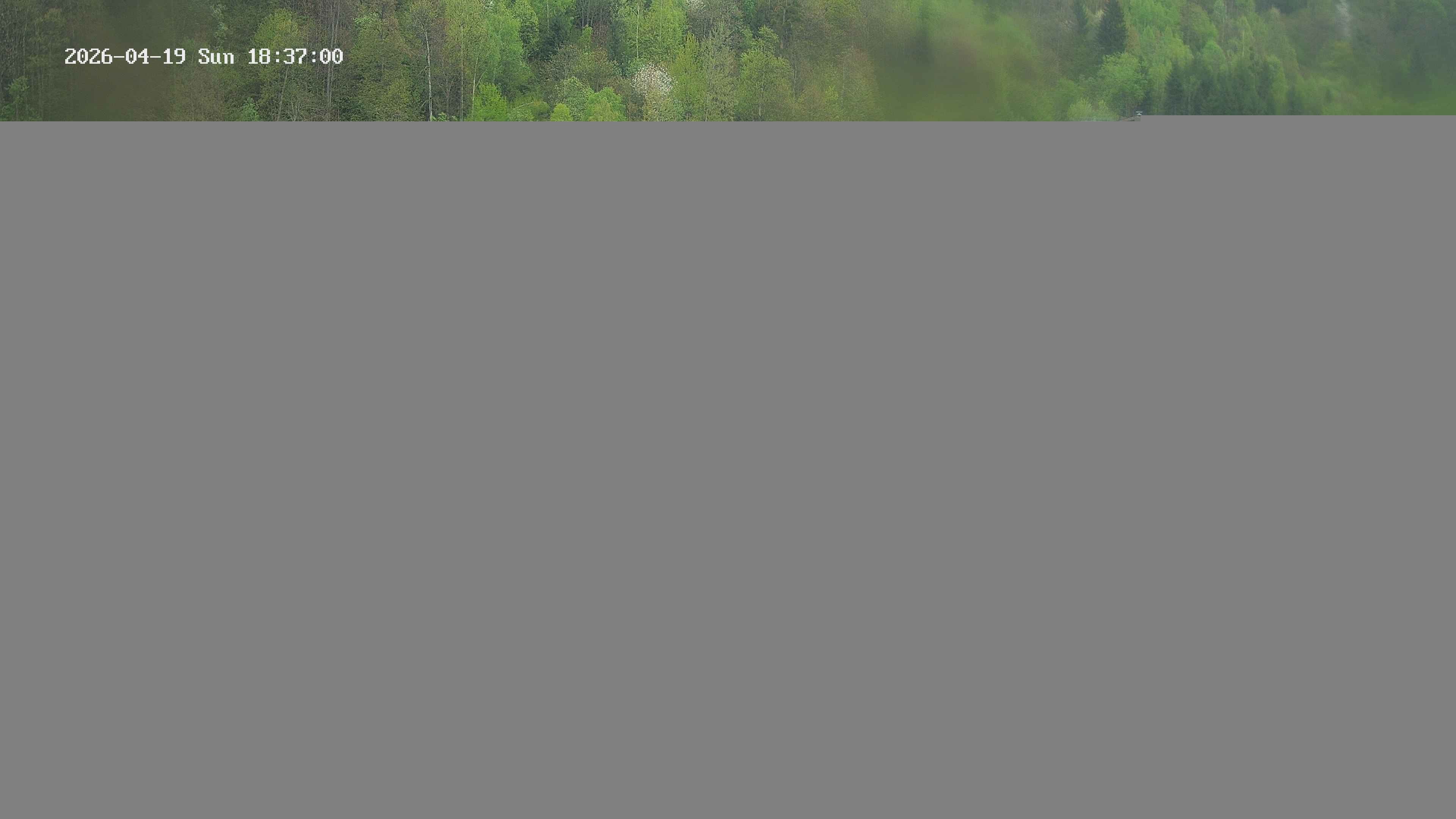 Archiv Foto Webcam Camping Aufenfeld - Appartements