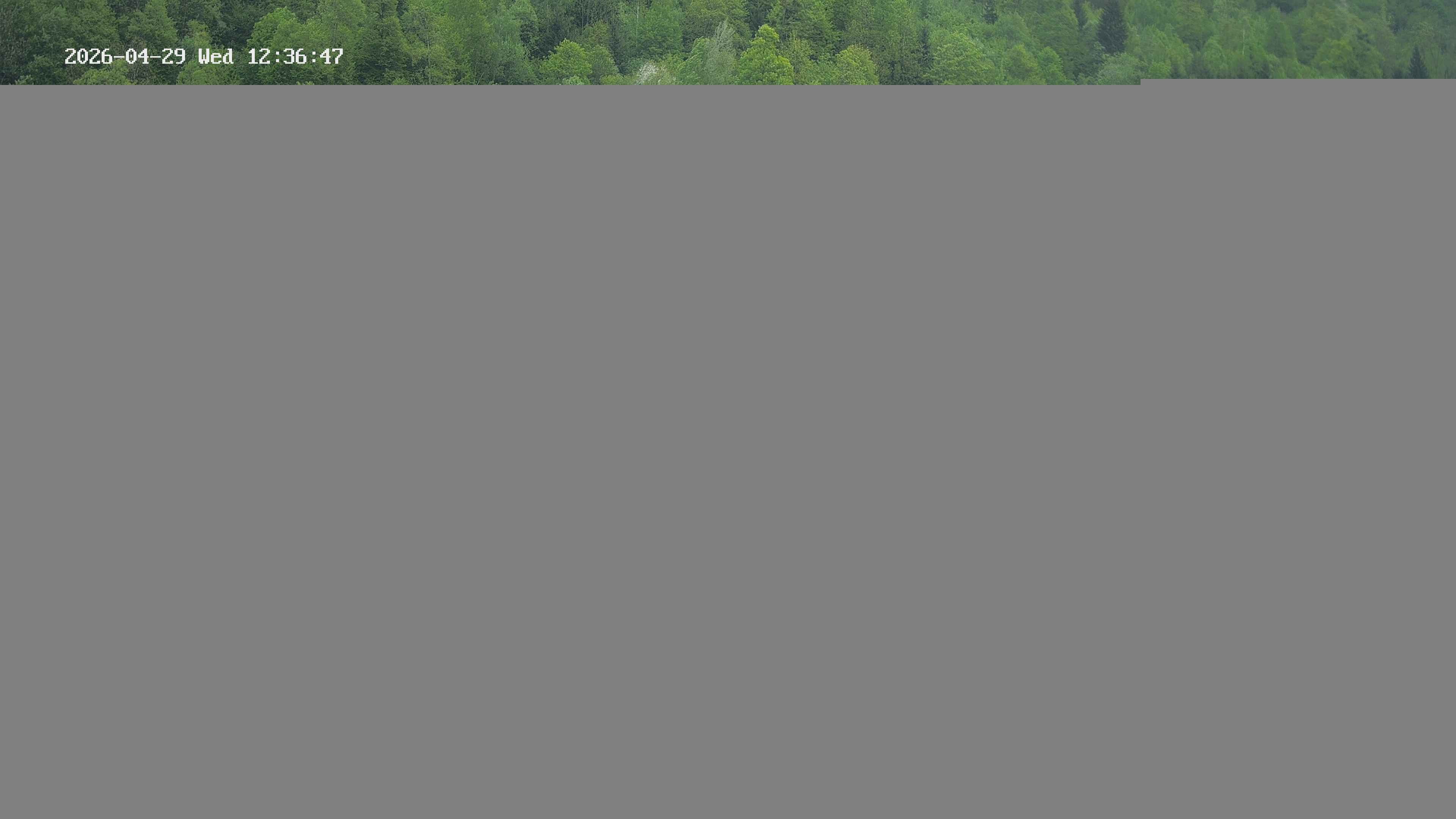 Archiv Foto Webcam Camping Aufenfeld - Appartements