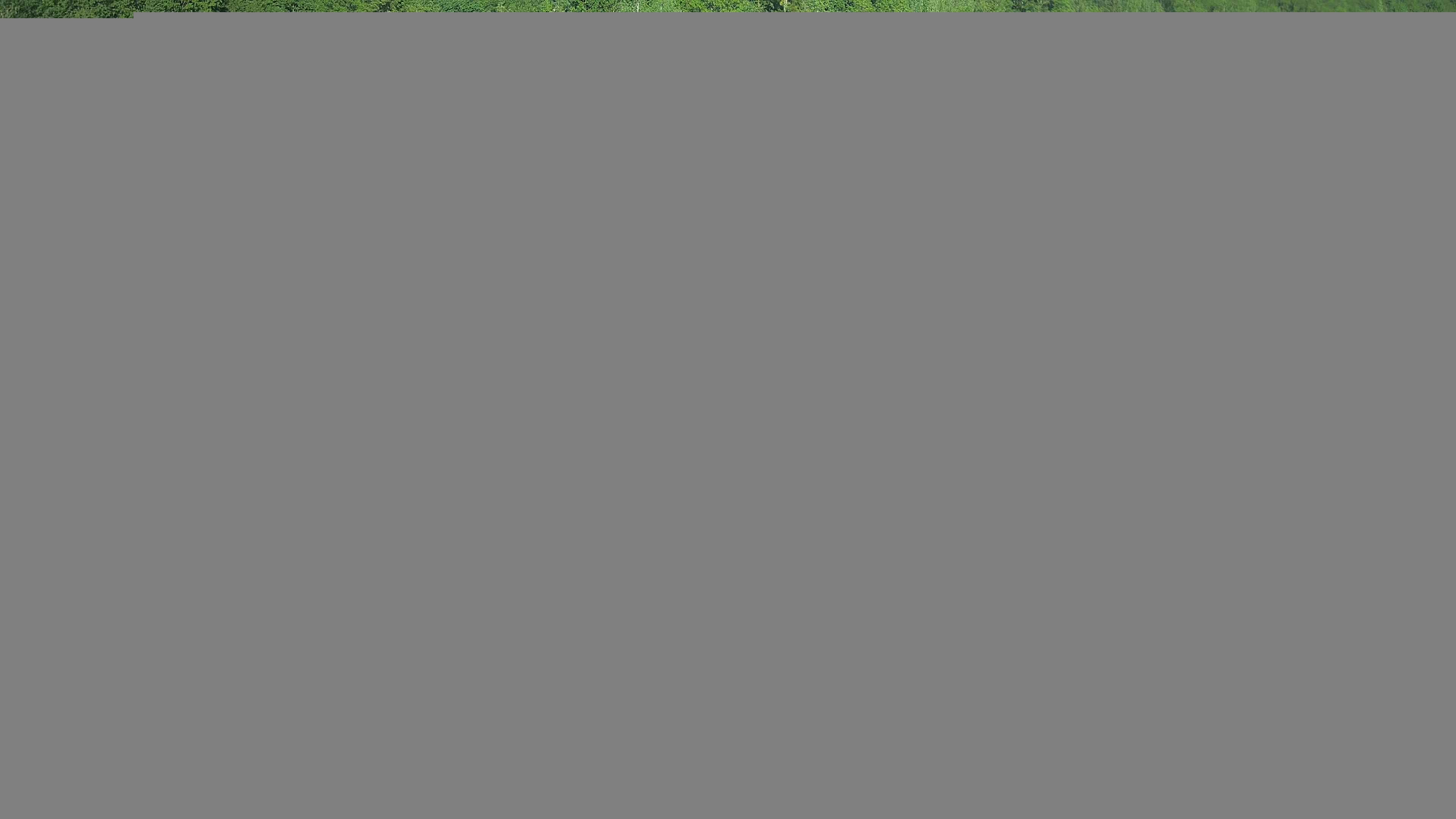 Archiv Foto Webcam Camping Aufenfeld - Appartements
