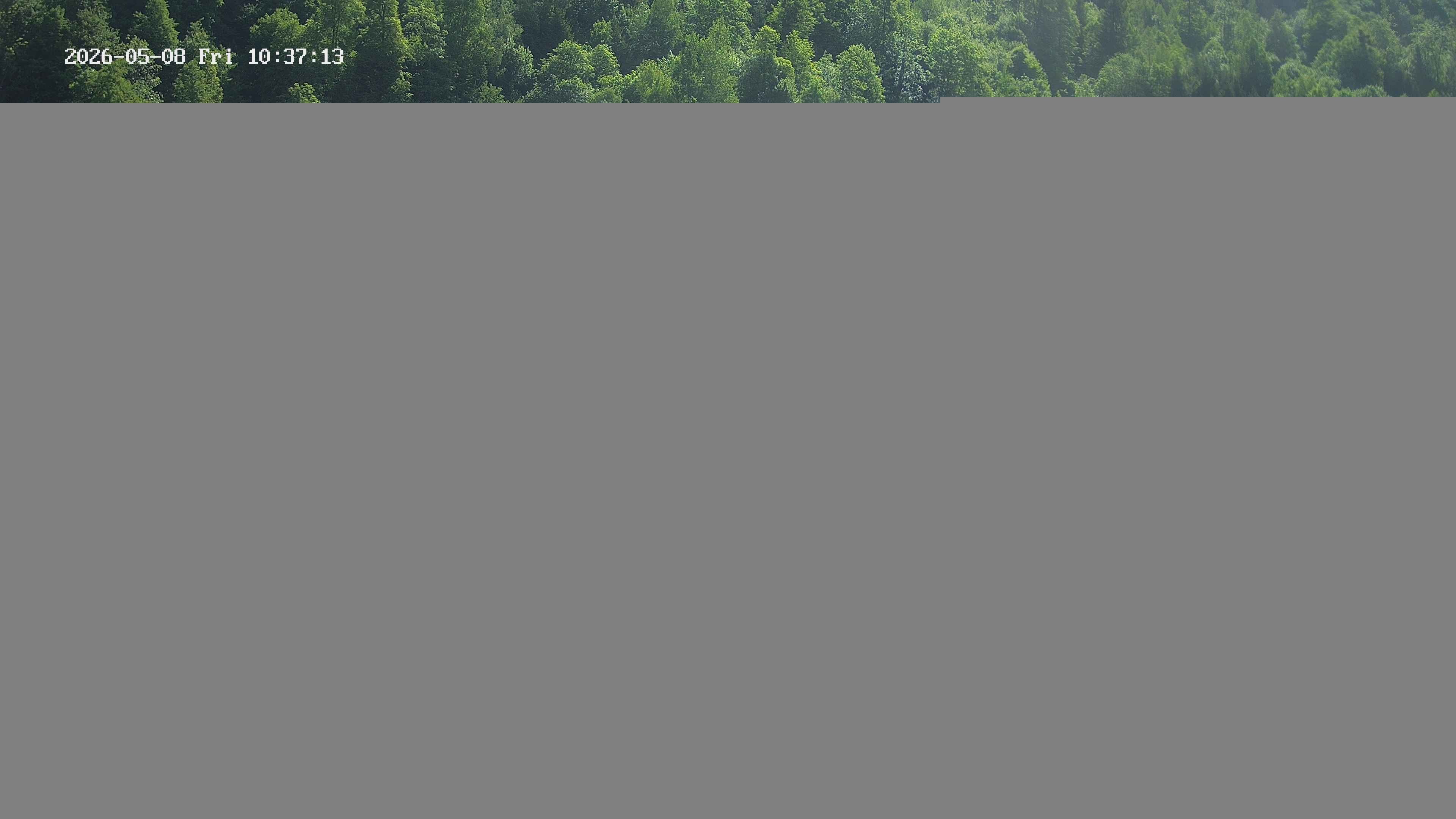 Archiv Foto Webcam Camping Aufenfeld - Appartements